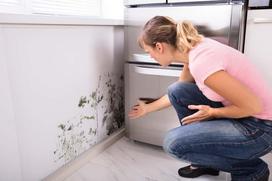 Pleśń na ścianie i suficie w mieszkaniu – przyczyny, najlepsze metody usuwania